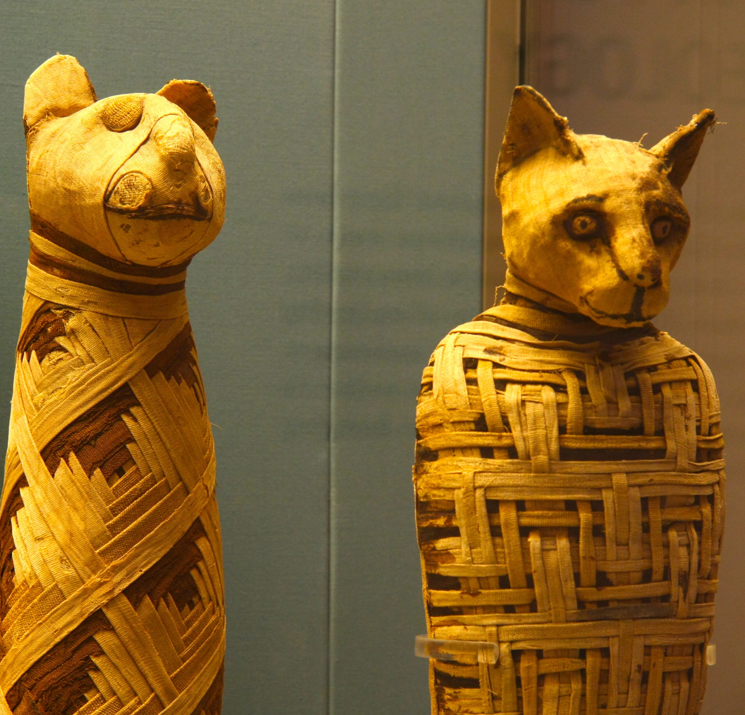 mummy-cats.jpg