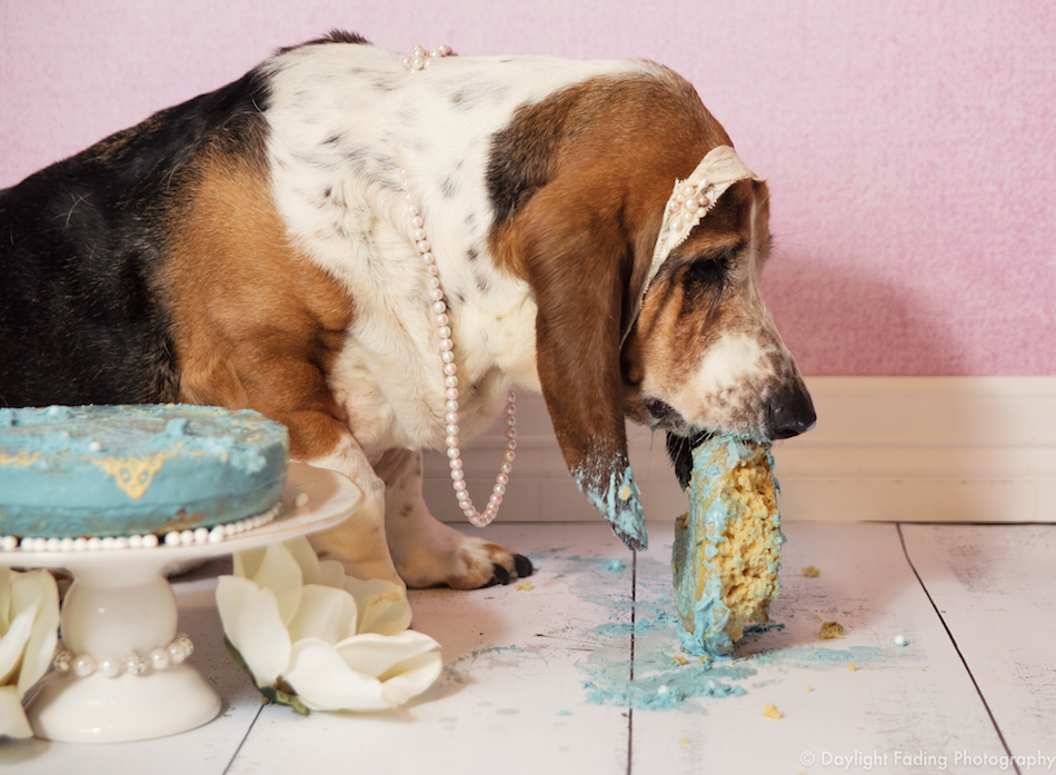 munching.jpg