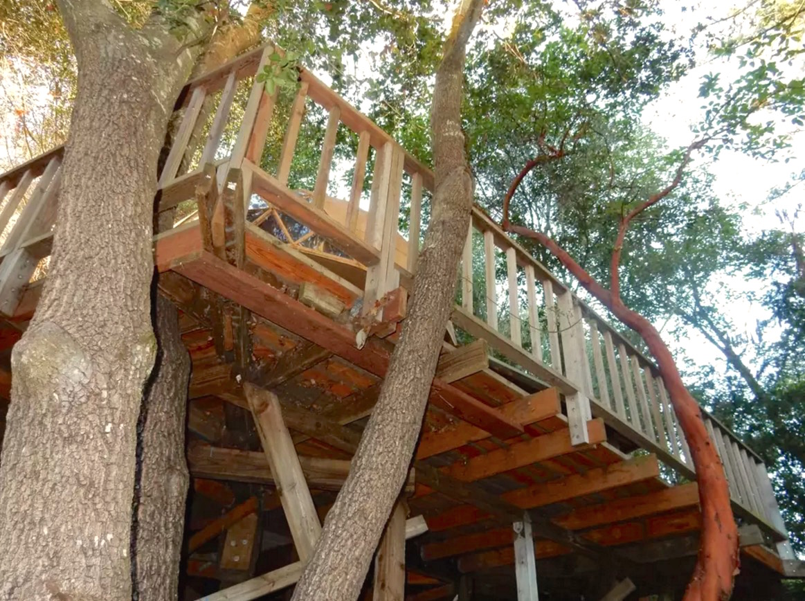 mushroomdometinyhouse_8.jpg