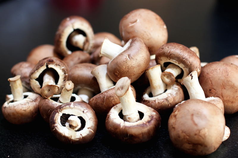 mushrooms-5.jpg