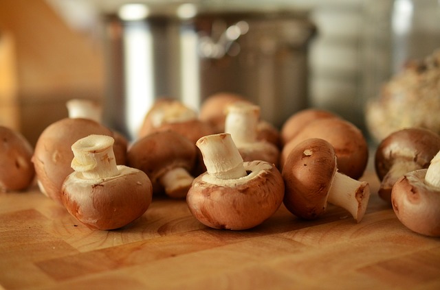 mushrooms-756406_640.jpg