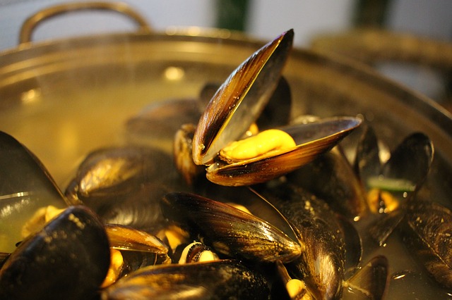 mussels-in-bath-678142_640.jpg