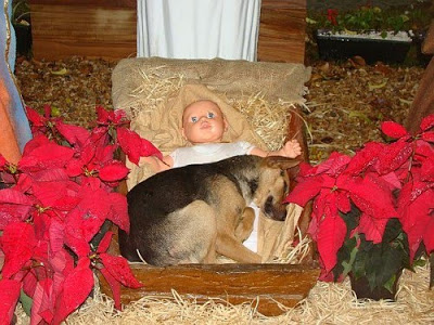 natal01.jpg