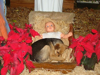 natal03.jpg
