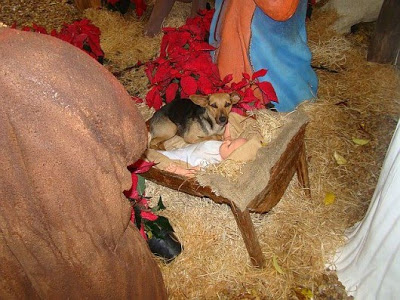 natal04.jpg