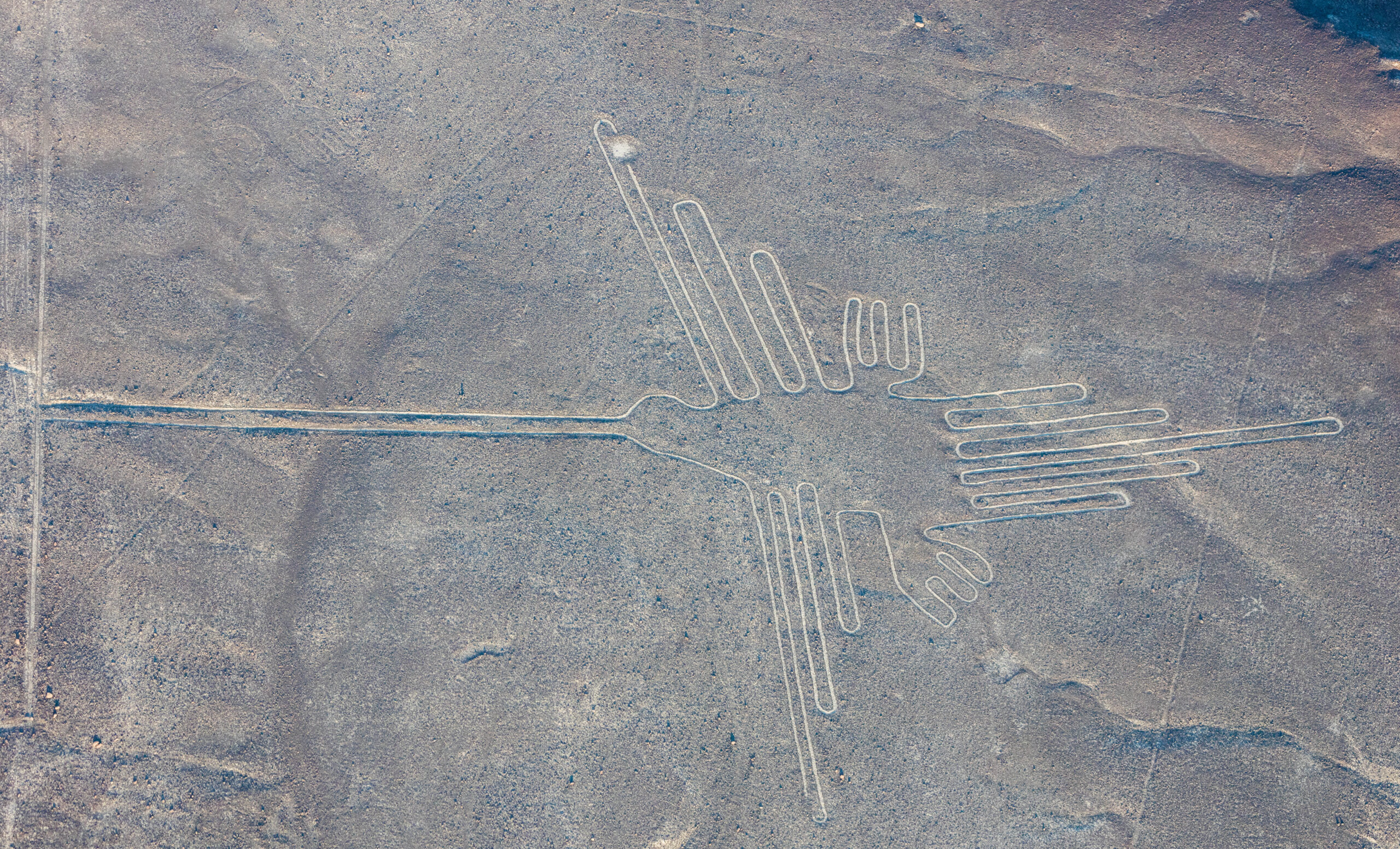 nazca-1.jpg