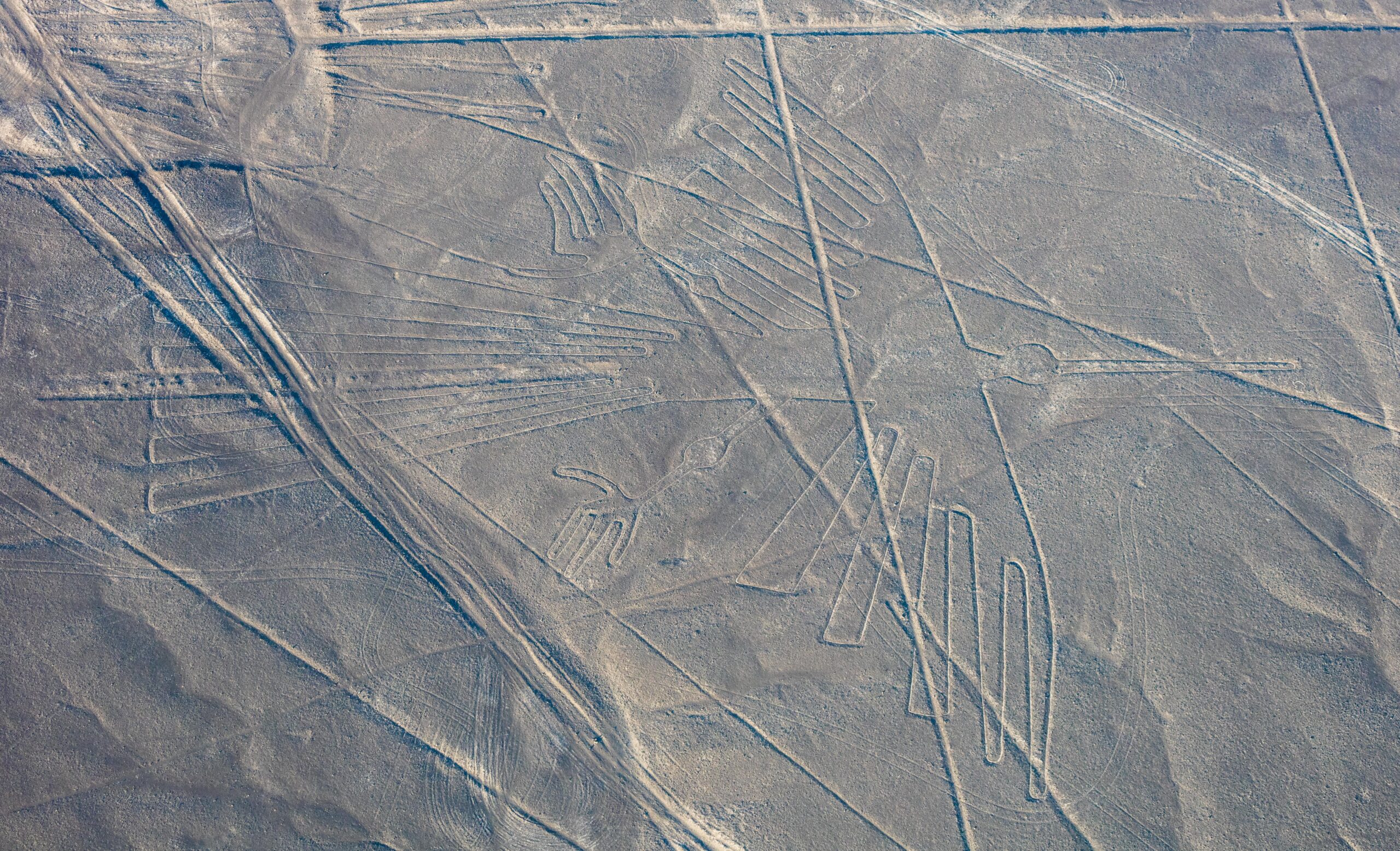 nazca-2.jpg