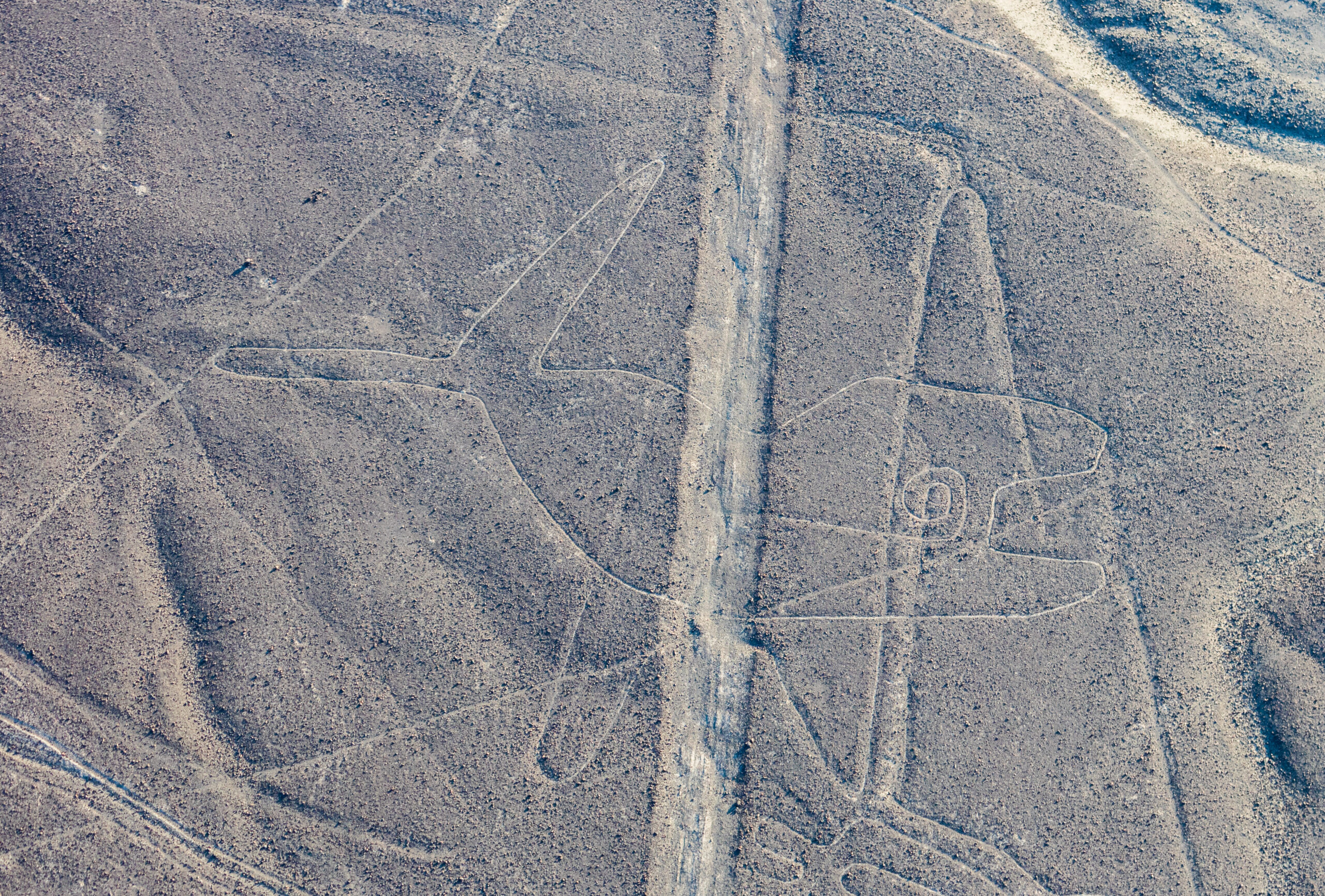 nazca-3.jpg
