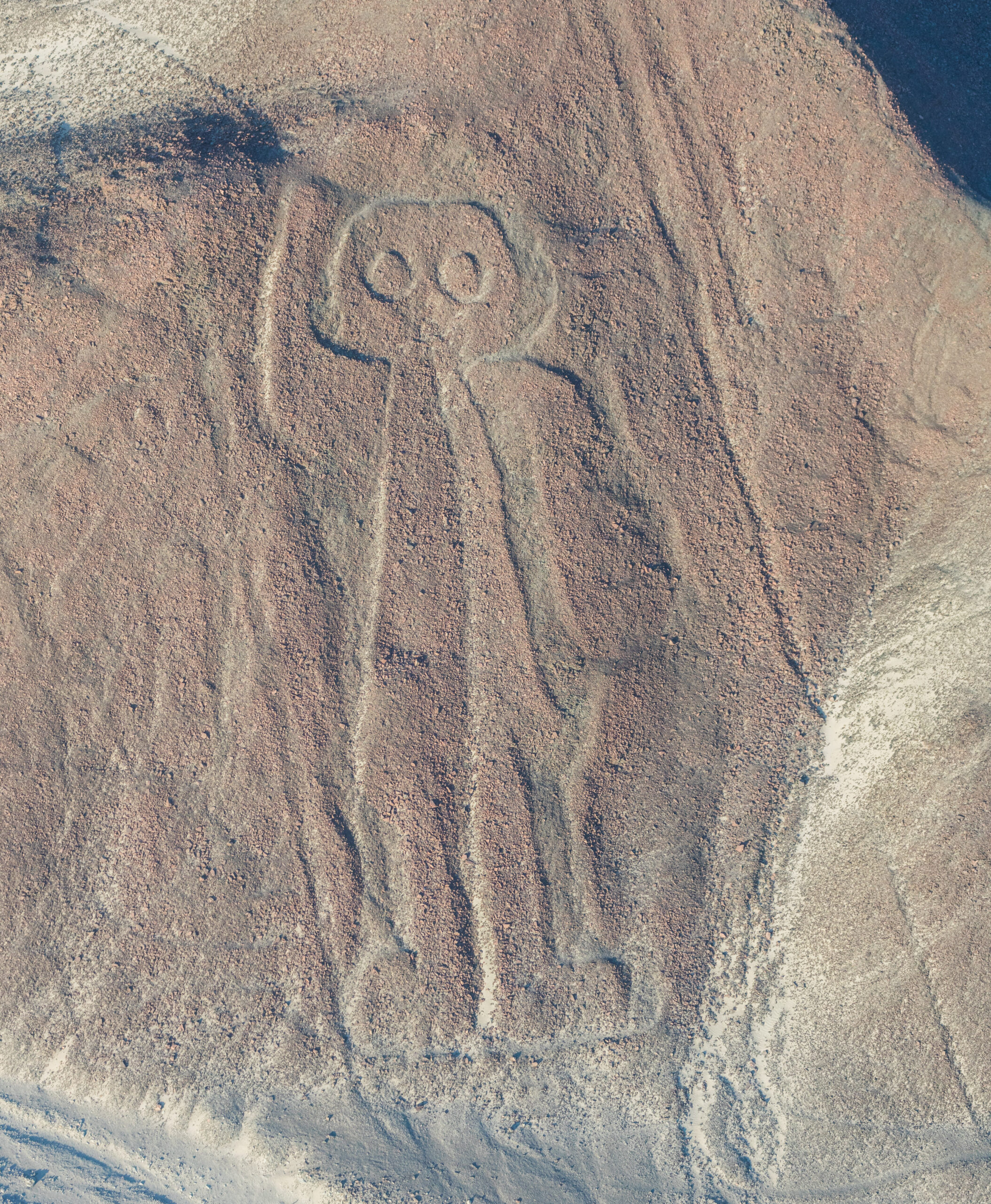nazca-4.jpg