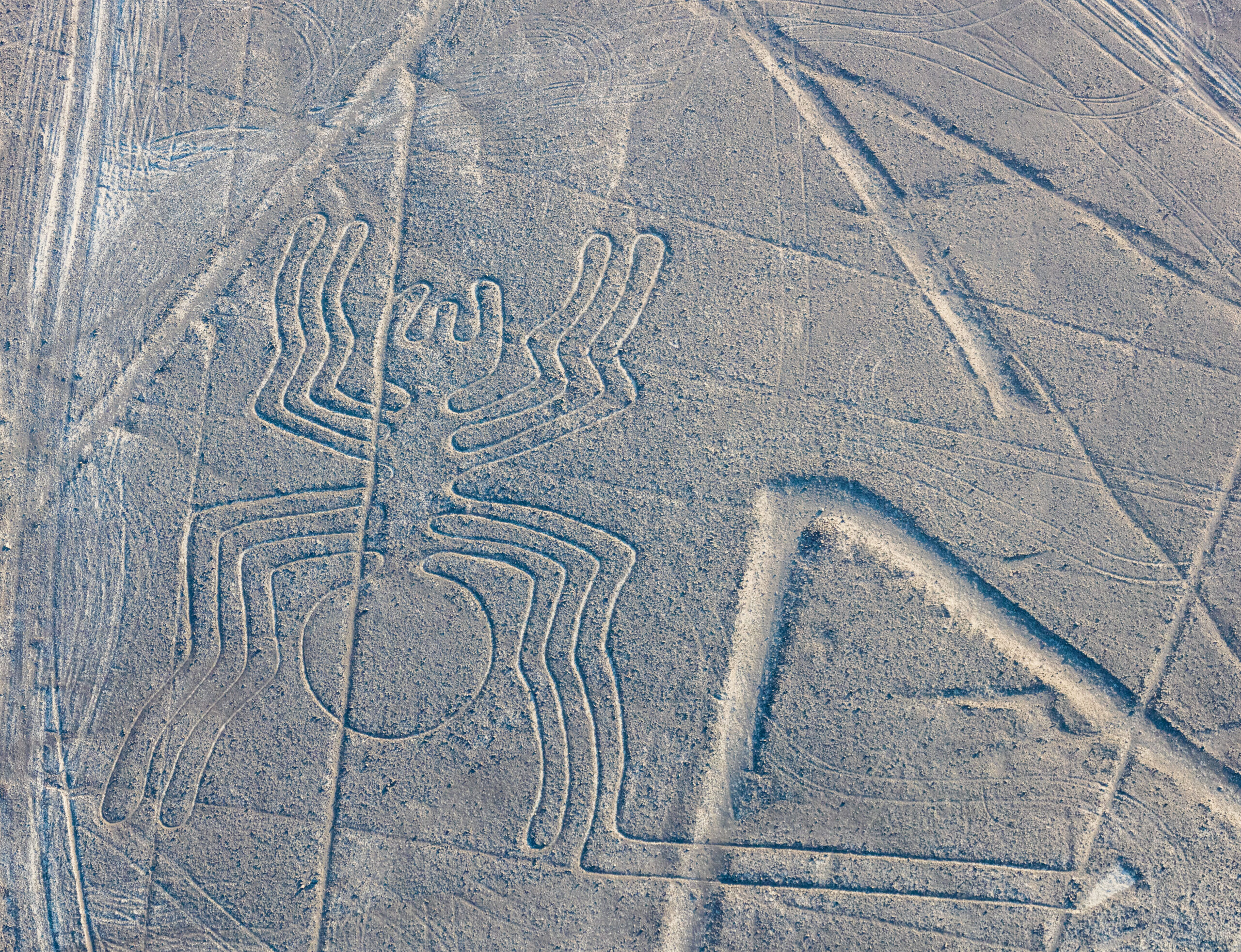 nazca-5.jpg