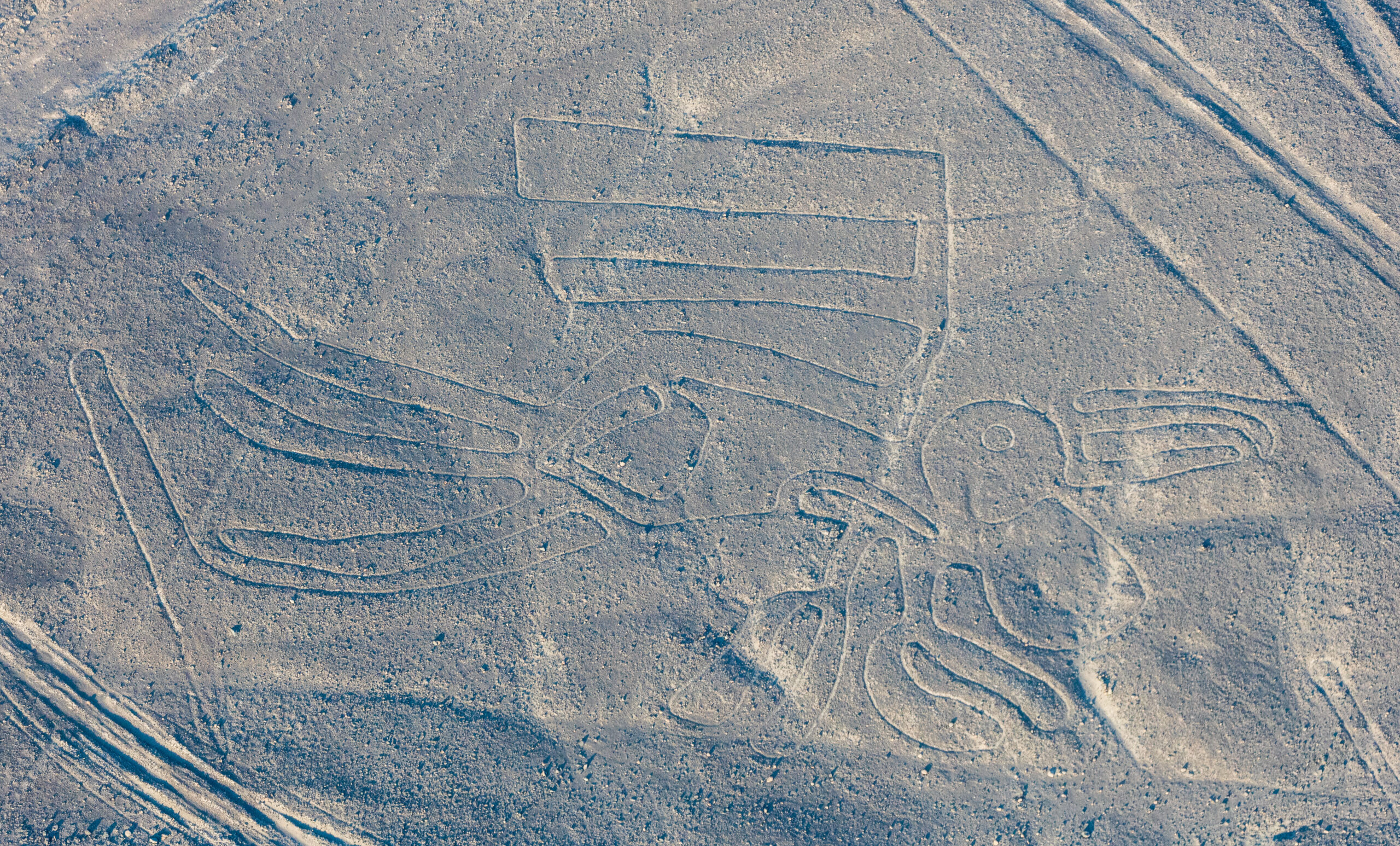 nazca-7.jpg