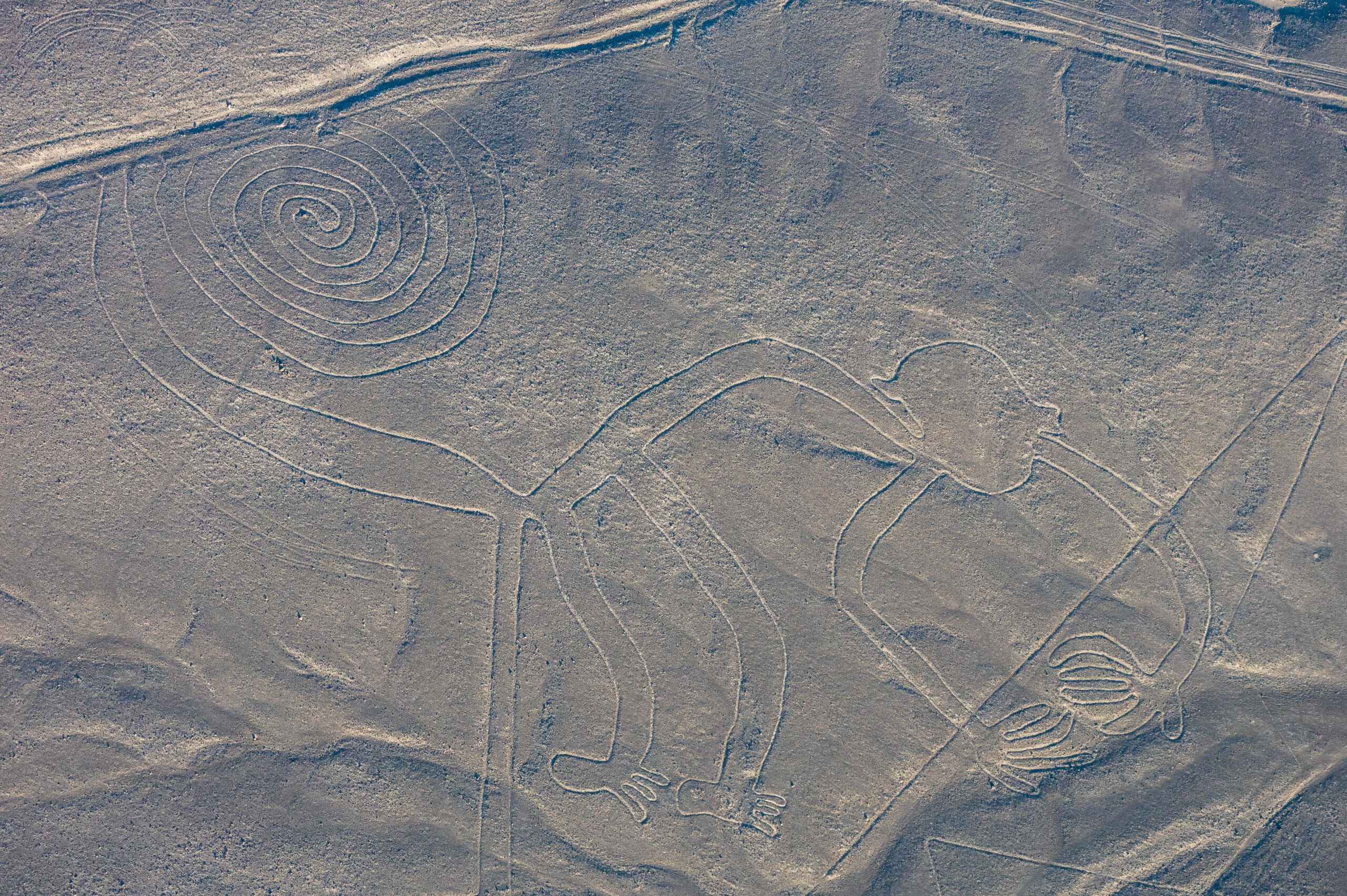 nazca-8.jpg