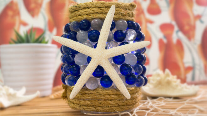 _newsletter(2) sea star jar