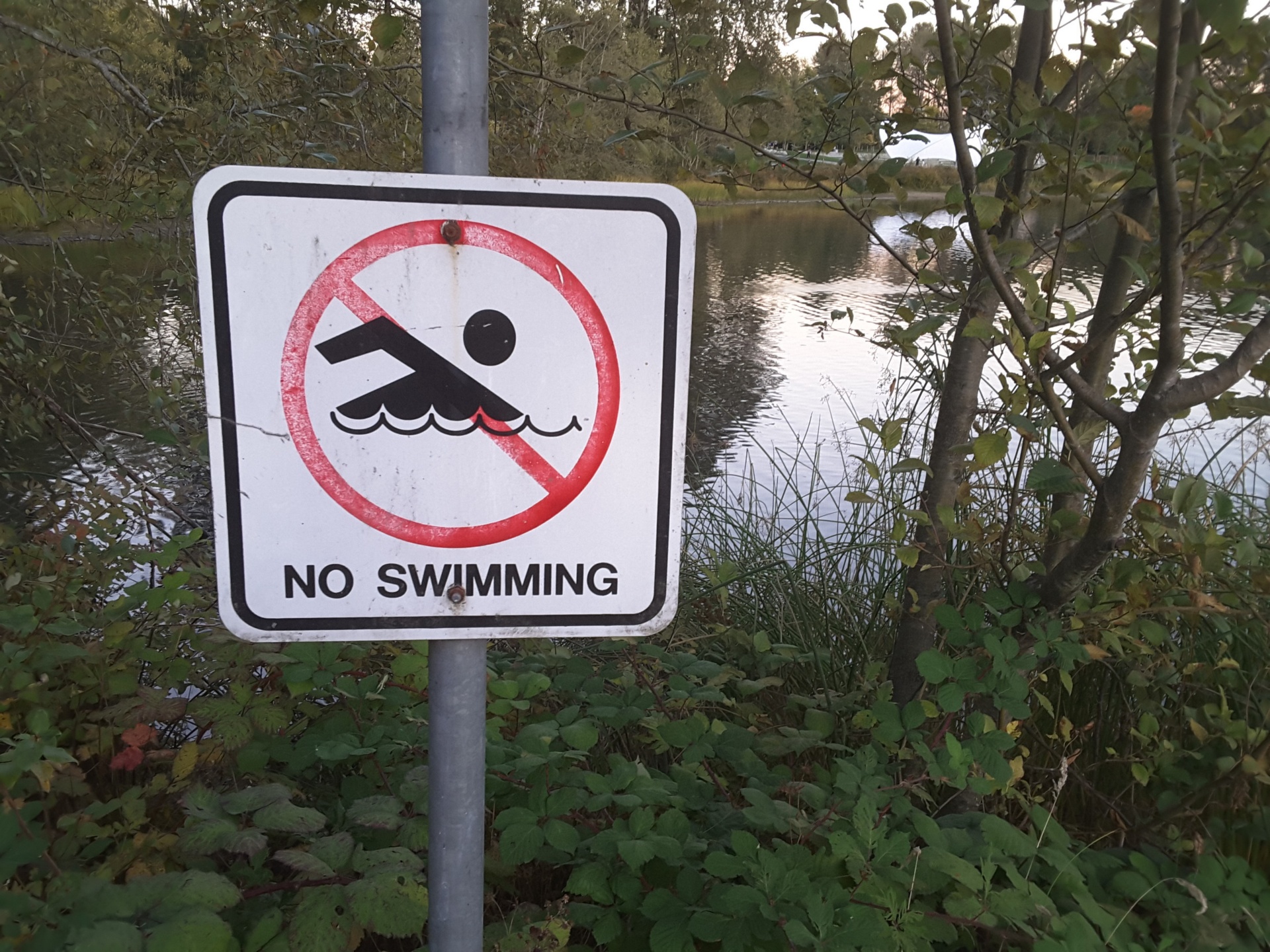 no-swimming-1506617238sCX.jpg