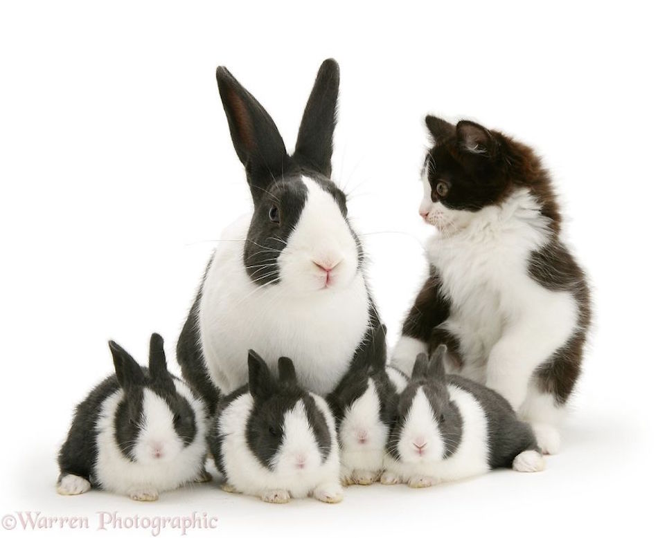 not-like-the-others.jpg