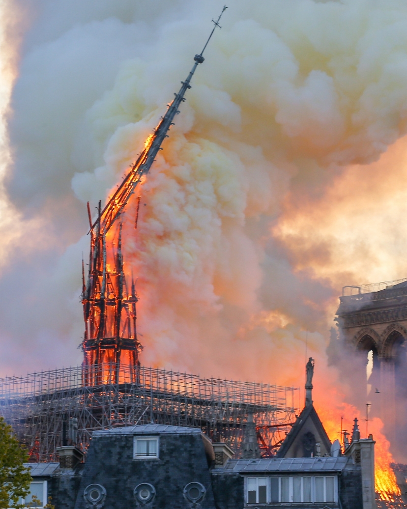 notre-dame3.jpg