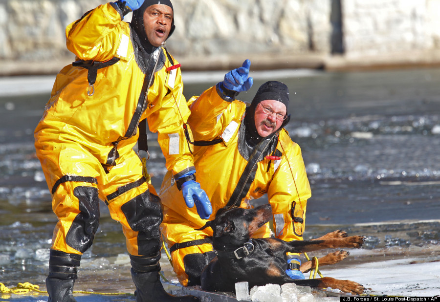 Fire Dept. Rescues dog from lake in O'Fallon Park