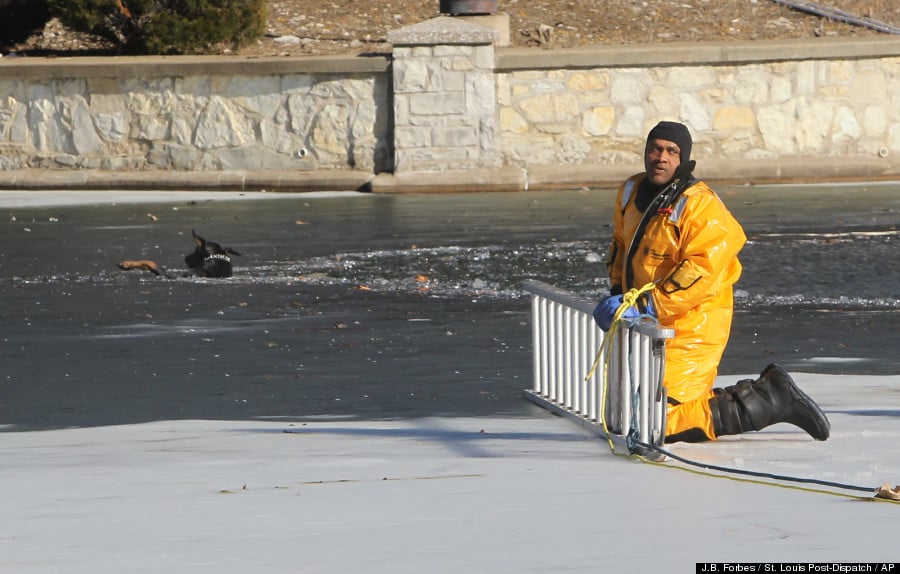 Dog Ice Rescue Dog Ice Rescue