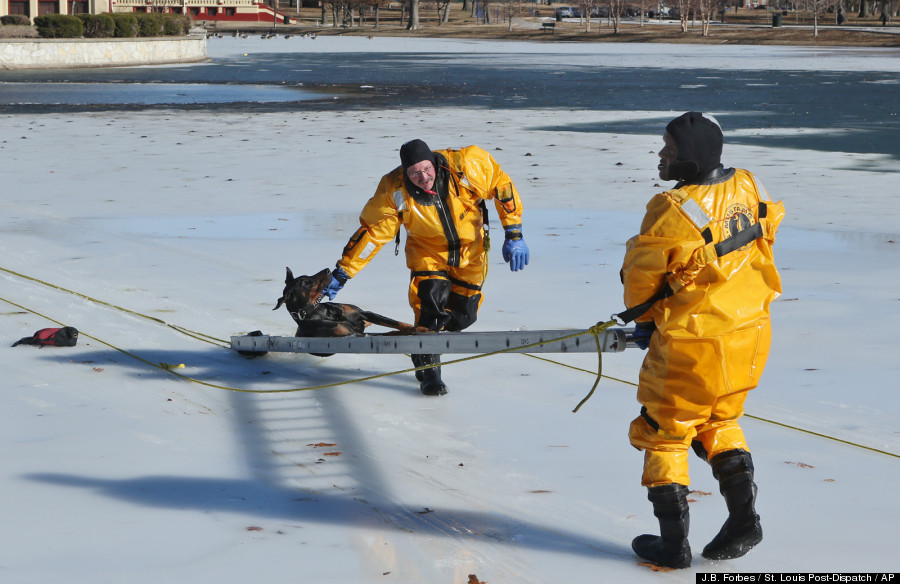 Dog Ice Rescue