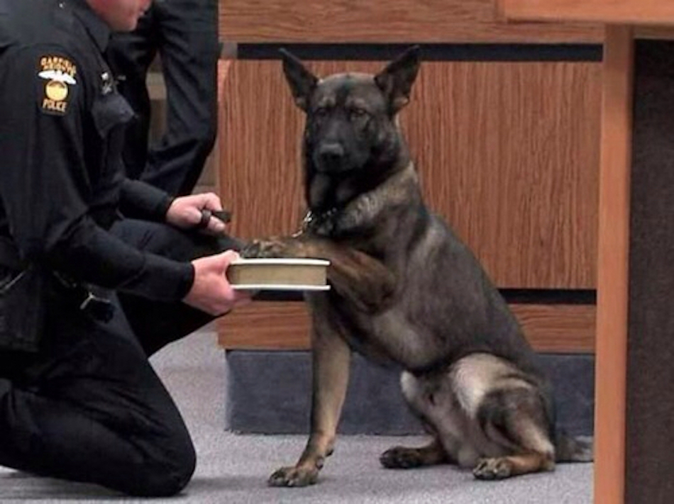 oath-1.jpg