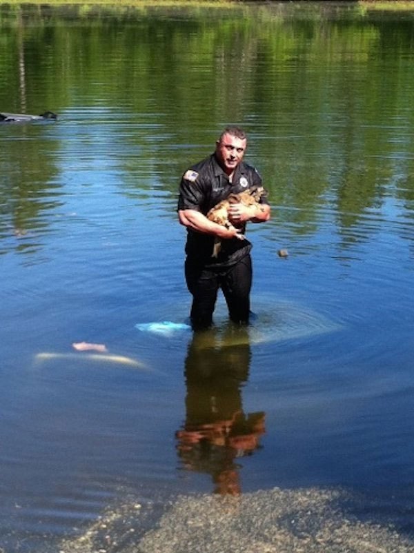 officer_saves_dog-1.jpg