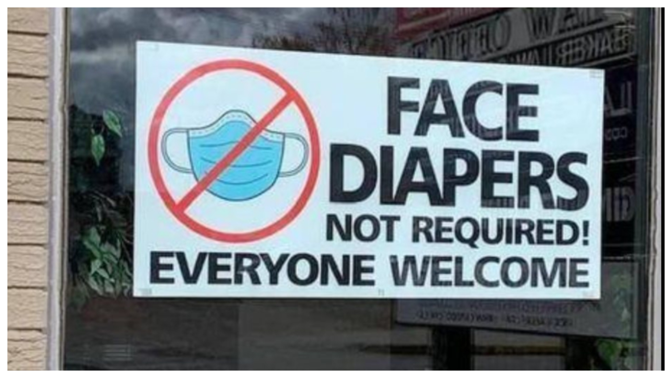 face-diapers