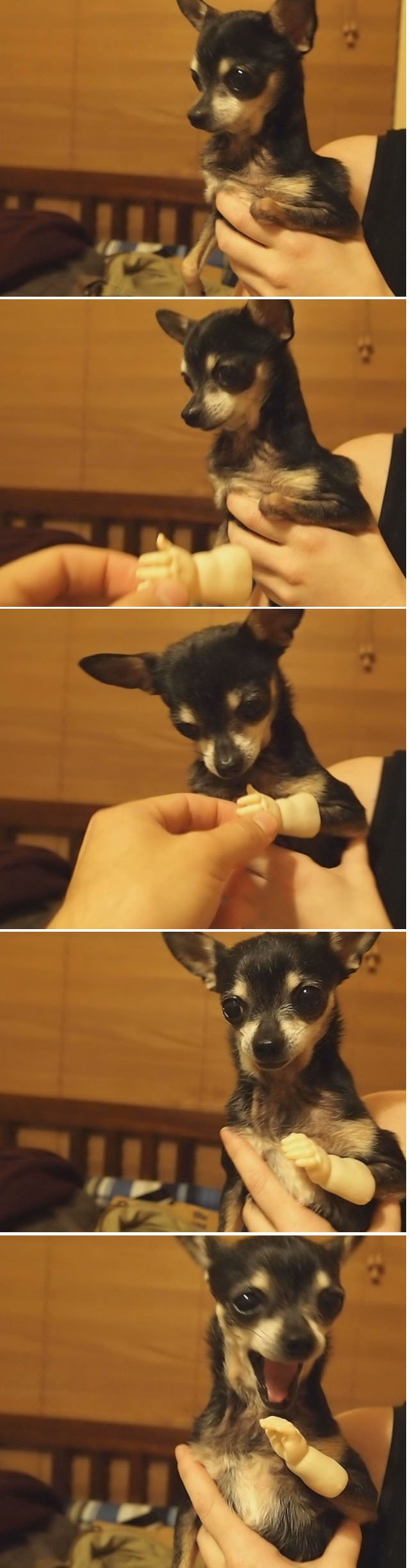 ohmygosshhhhhh
