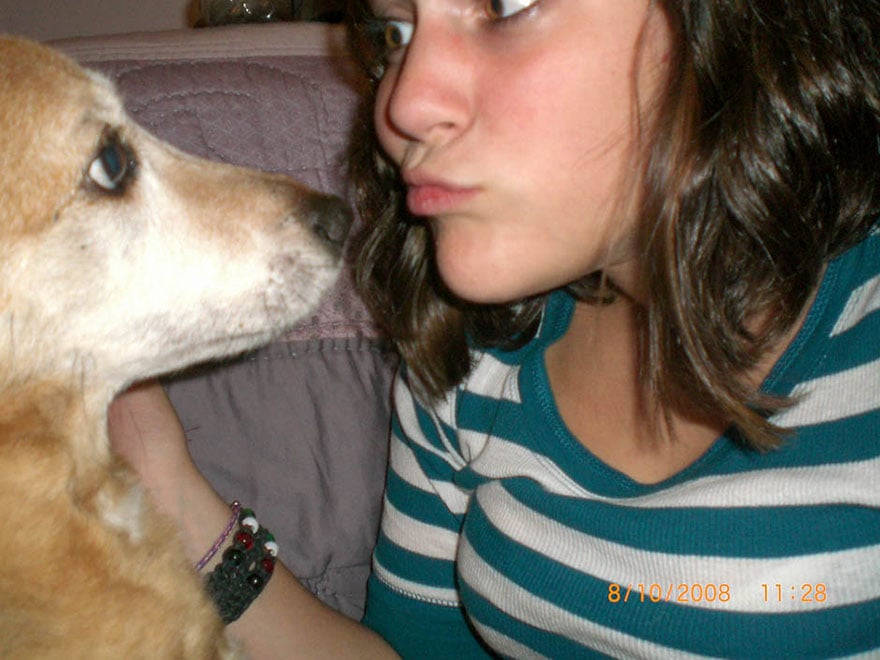old-dog-chubby-memorial-photoshoot-maria-sharp-suzanne-price-22.jpg