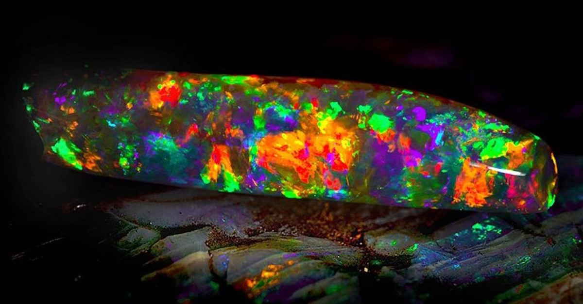 opal 1