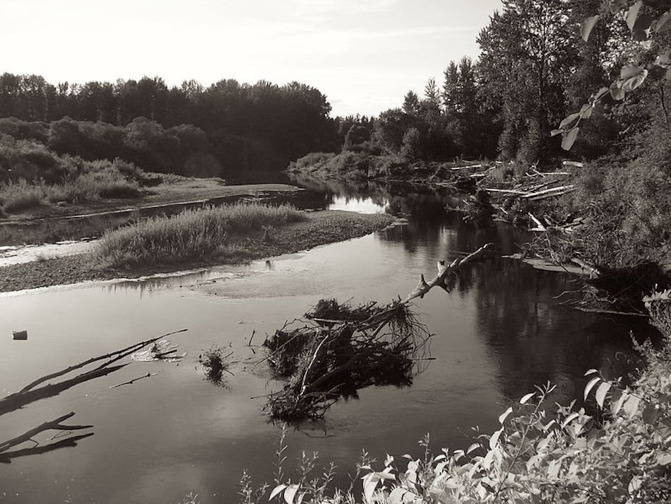 oregon-trail-forging-a-river.jpg