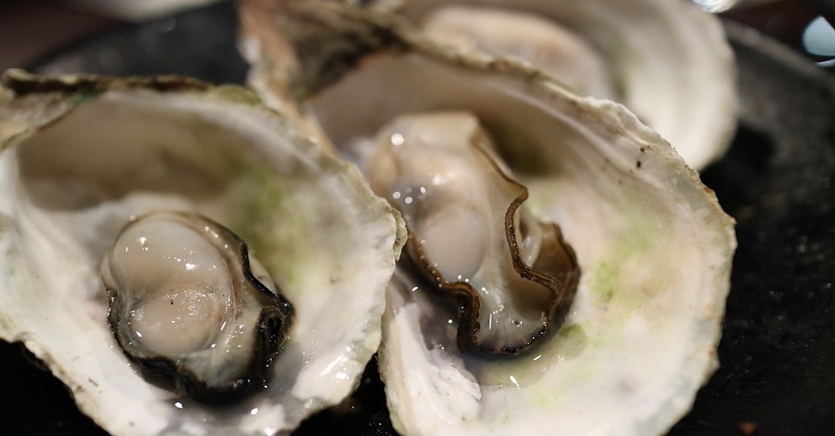 oyster-989179_960_720.jpg