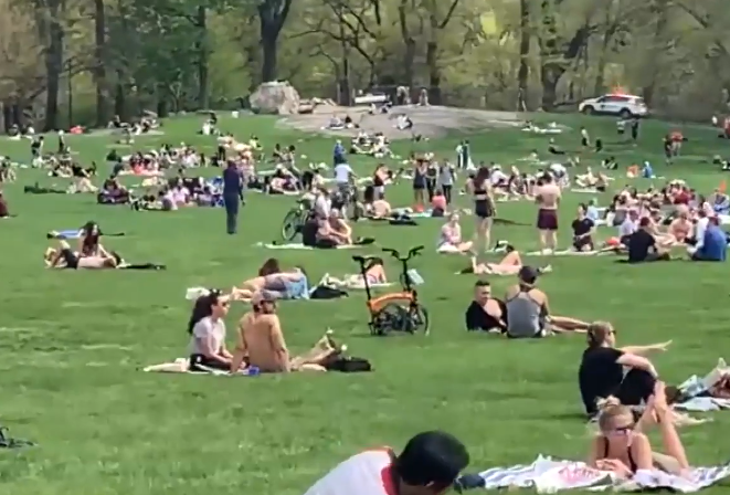 packed-parks.png