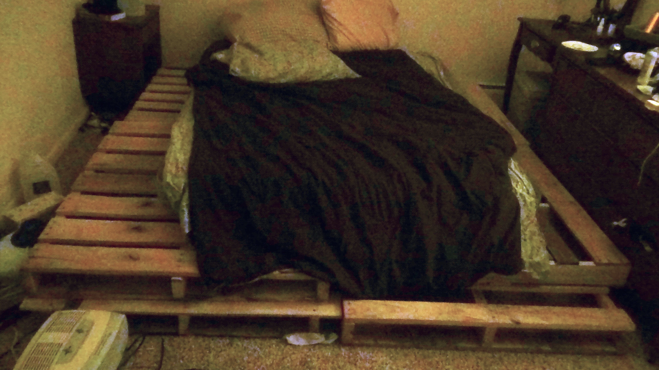 pallet-bed.jpg