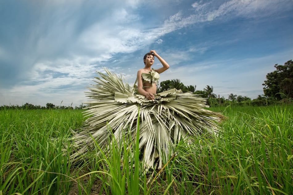 palm-gal.jpg