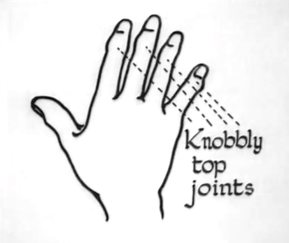 palm-reading-11.jpg