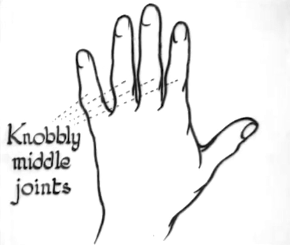 palm-reading-12.jpg