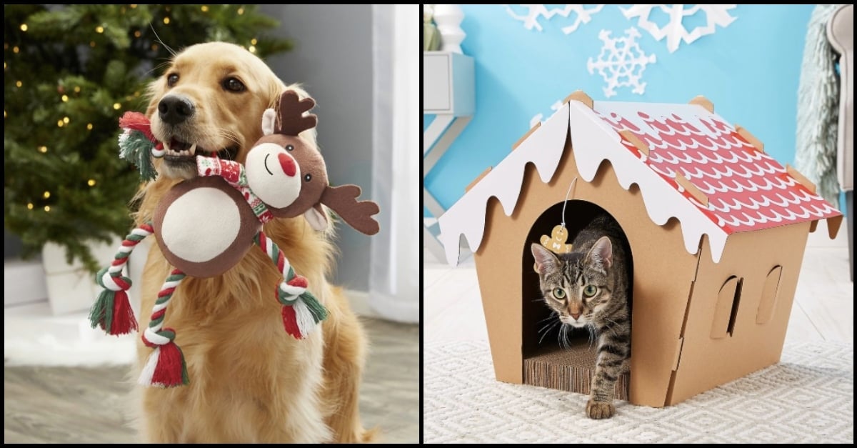 pamper-family-pets