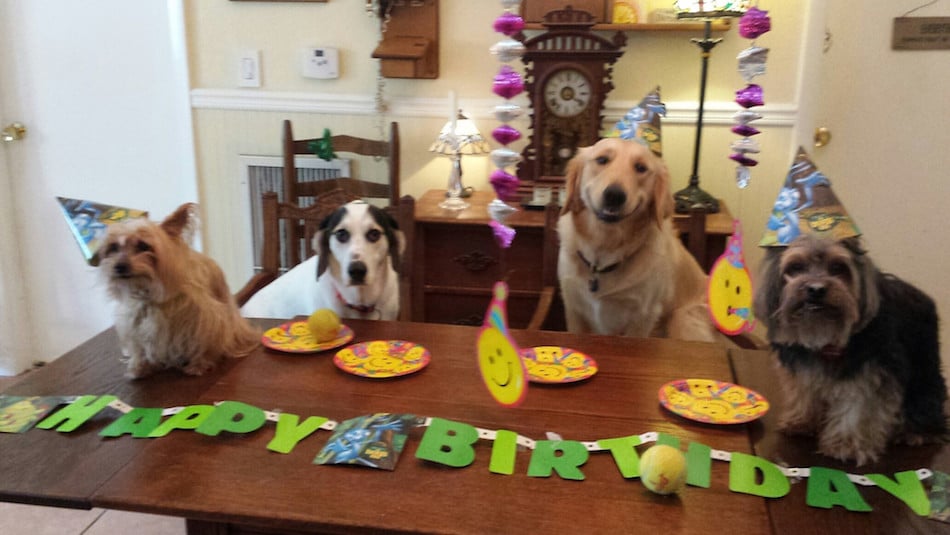 party-10.jpg