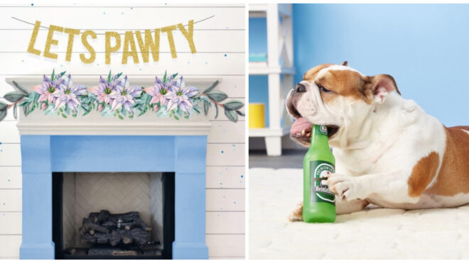 party-pup