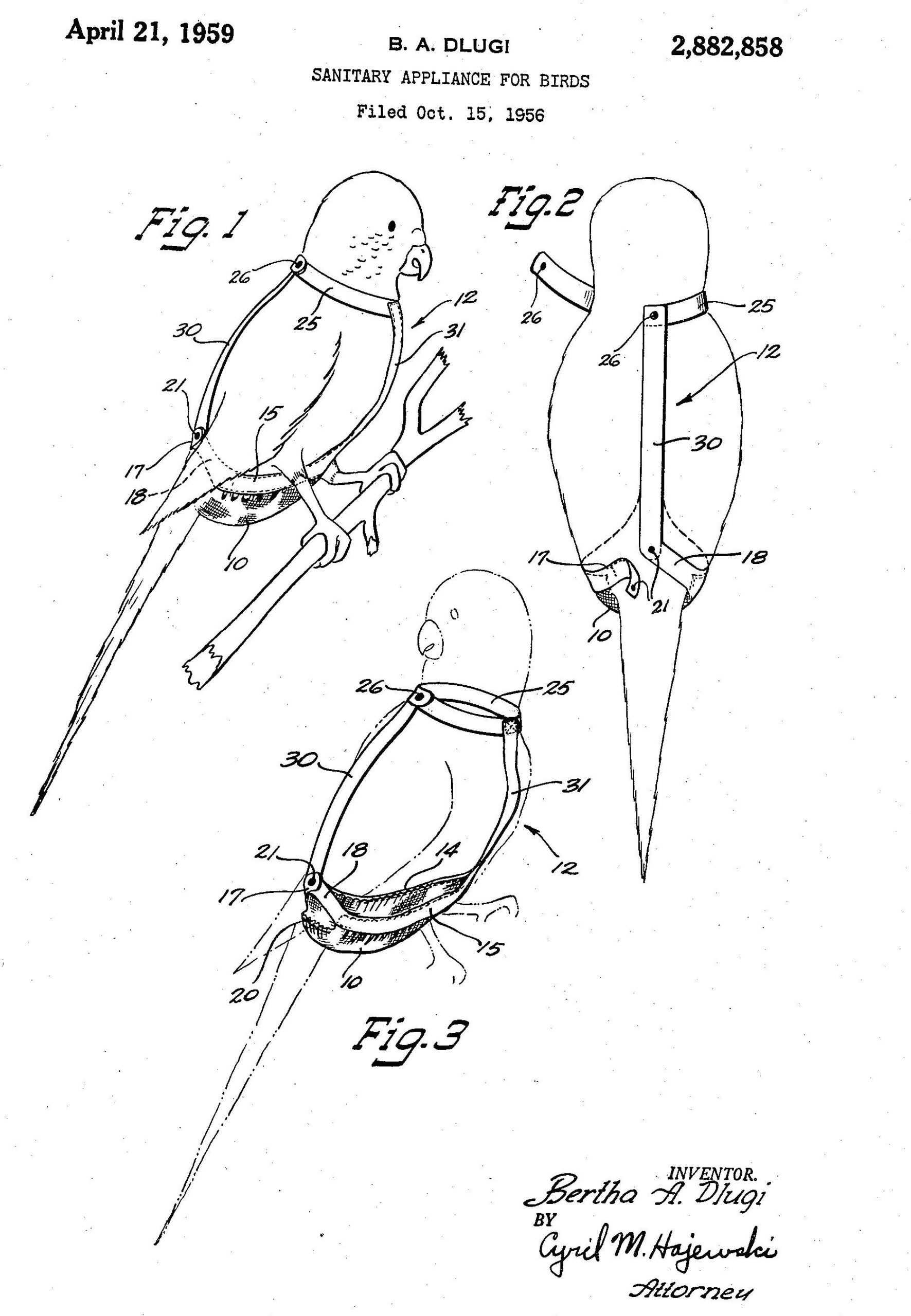 patent-99.jpg