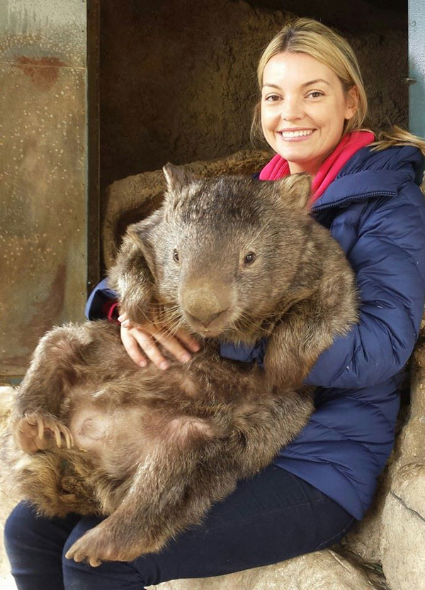 patrick-the-oldest-and-largest-living-wombat-4.jpg