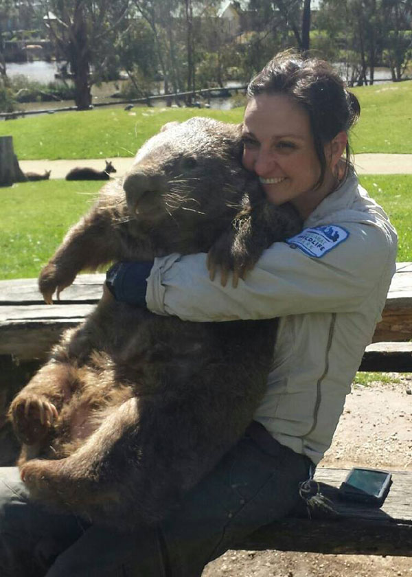 patrick-the-oldest-and-largest-living-wombat-6.jpg