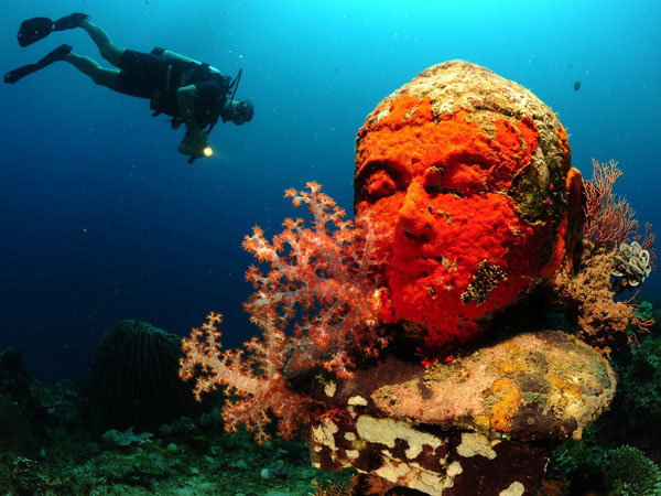 Diving in Pemuteran