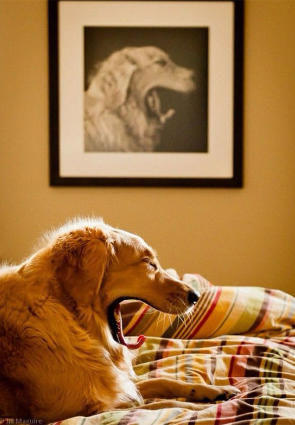 perfectly-timed-photos-21-1.jpg