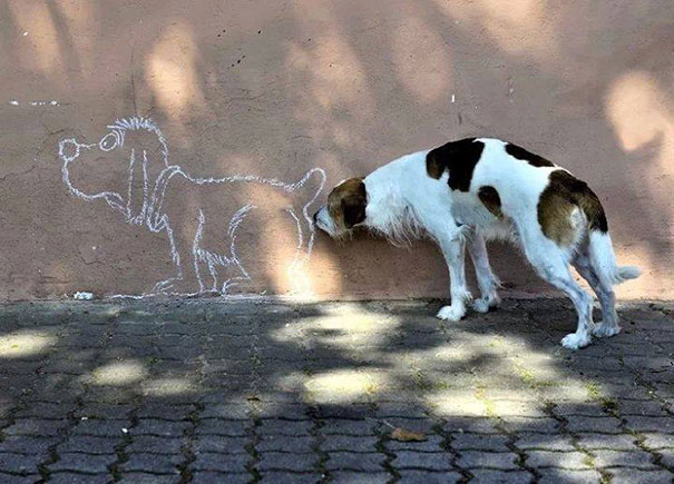 perfectly-timed-photos-23.jpg