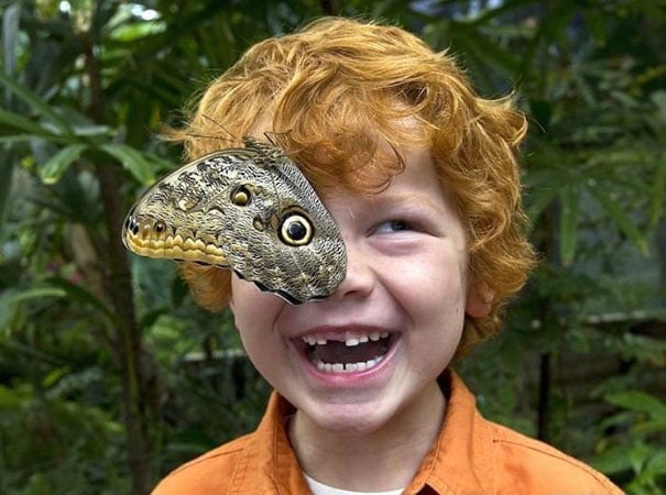 perfectly-timed-photos-36.jpg perfectly-timed-photos-36.jpg