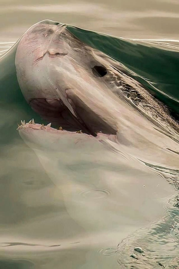 perfectly-timed-photos-571.jpg