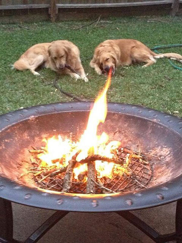 perfectly-timed-photos-582.jpg