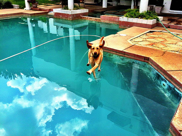 perfectly-timed-photos-771.jpg