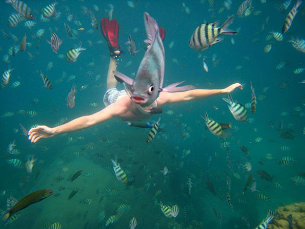 perfectly-timed-photos-871.jpg